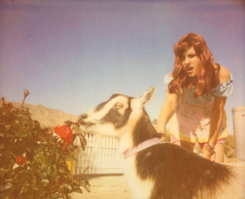 © Stefanie Schneider, Heather and Zeus