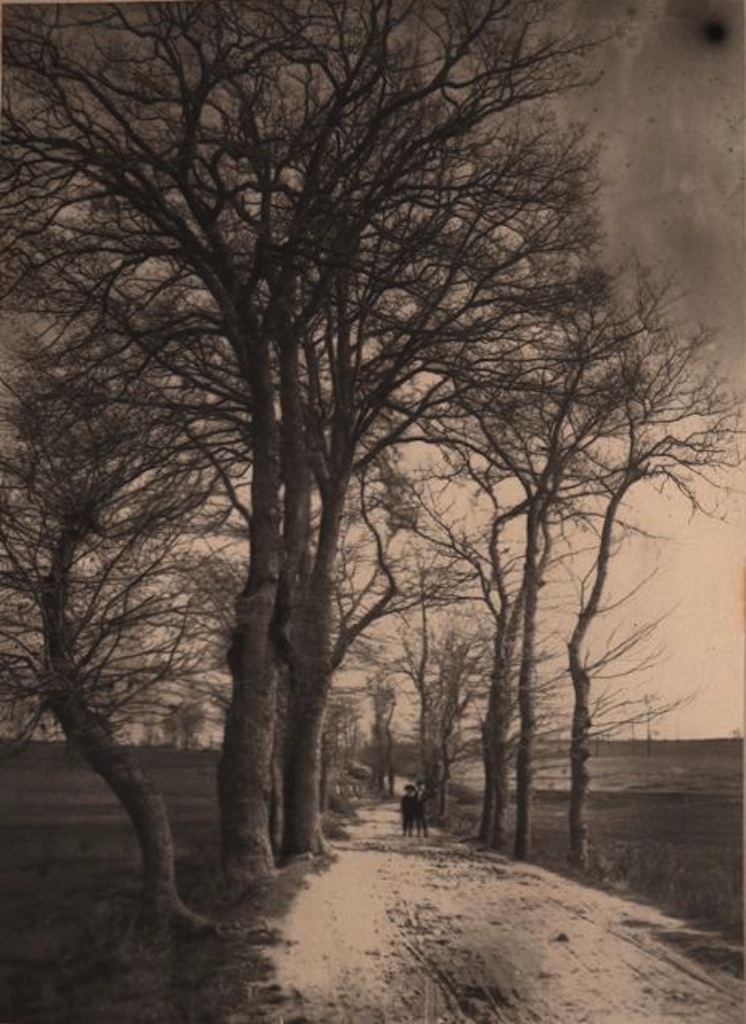 Enfants se promenant sur un chemin. Tirage au charbon monte? sur carton, tampon « Fonds Thiollier » et nume?ro d’inventaire au crayon au dos. Image : 21,8 x 15,7 cm ; montage : 32 x 23,7 cm 1 000-1 50