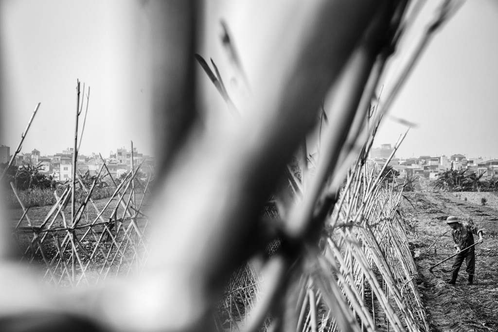 © Francis Roux / NOI Pictures