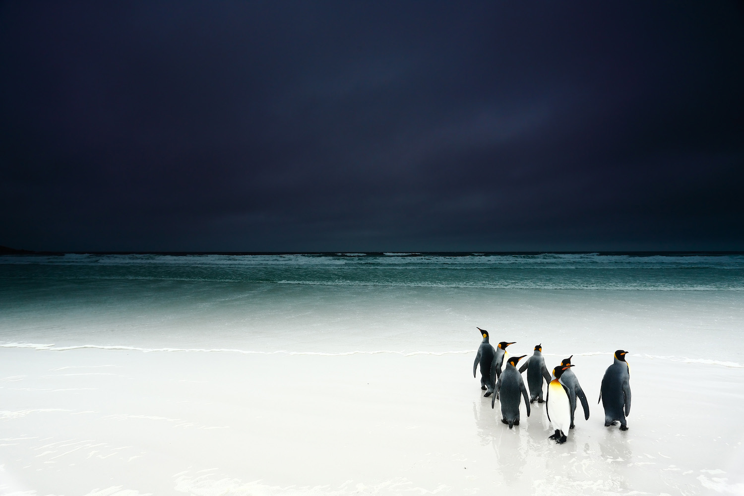 © Festival Photo Montier
