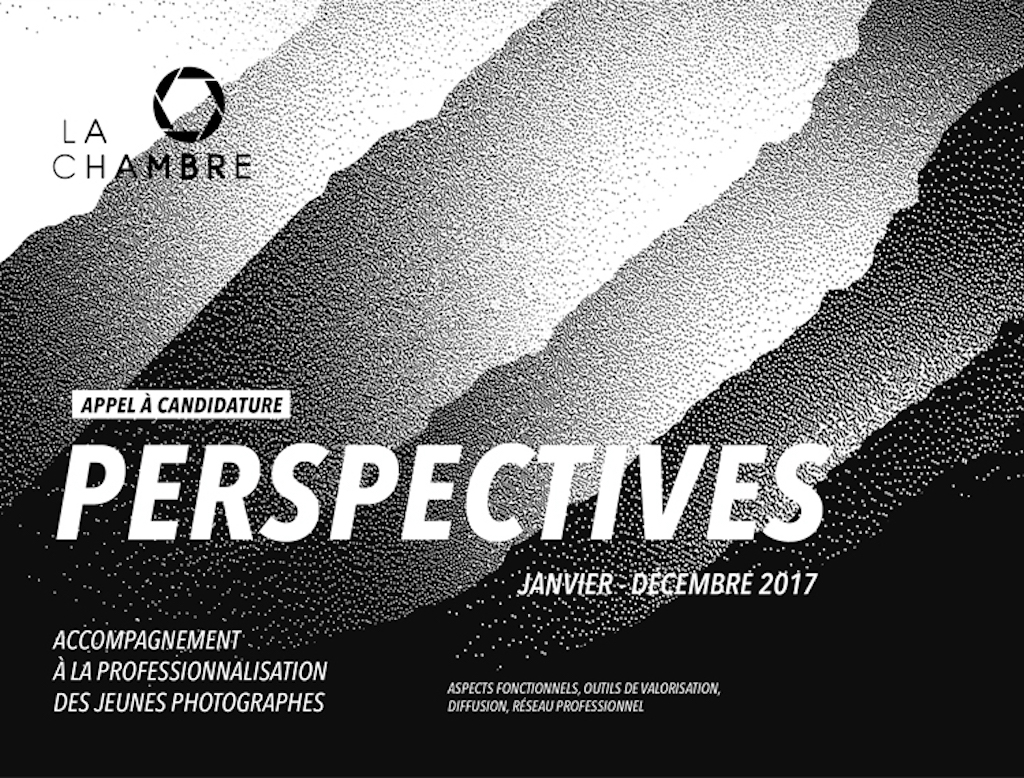 Perspectives 2017