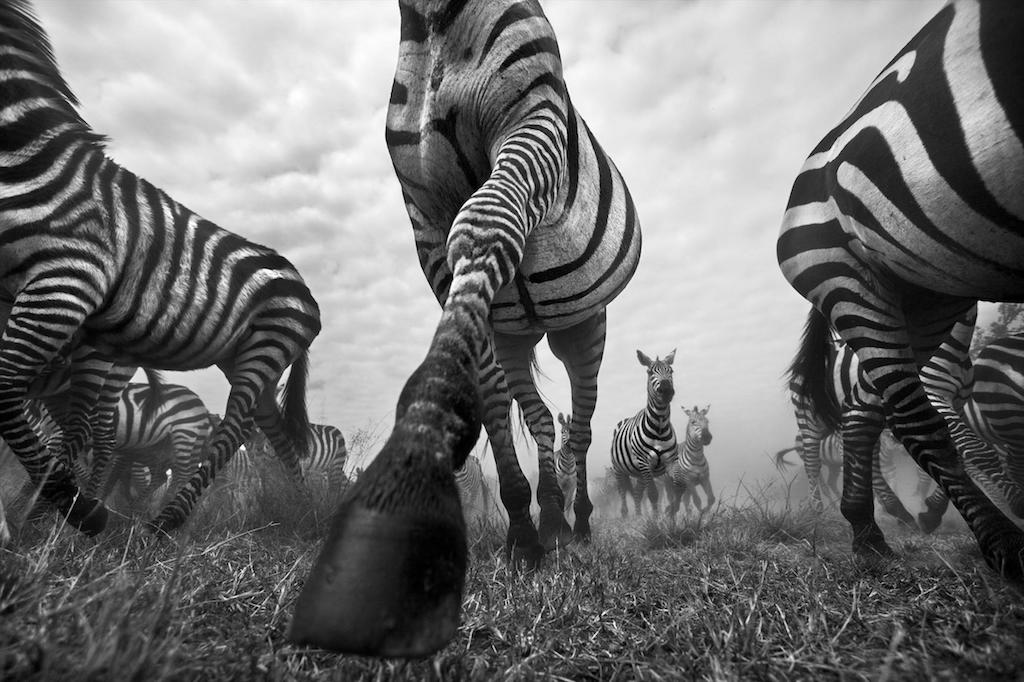 © A.R. Shah - Onward